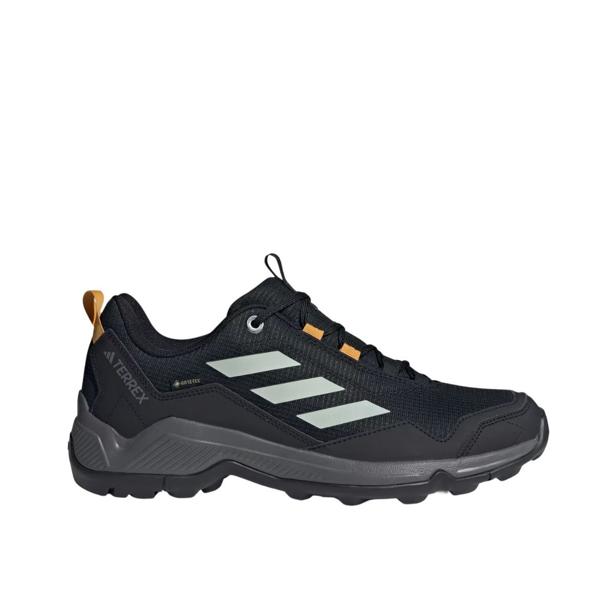 TERREX EASTRAIL GTX